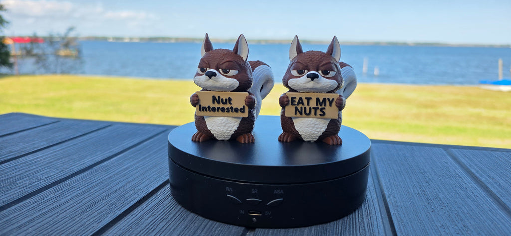 Animals WIth Attitude, Squirrel