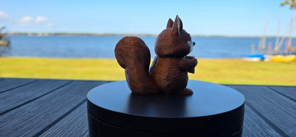 Animals WIth Attitude, Squirrel