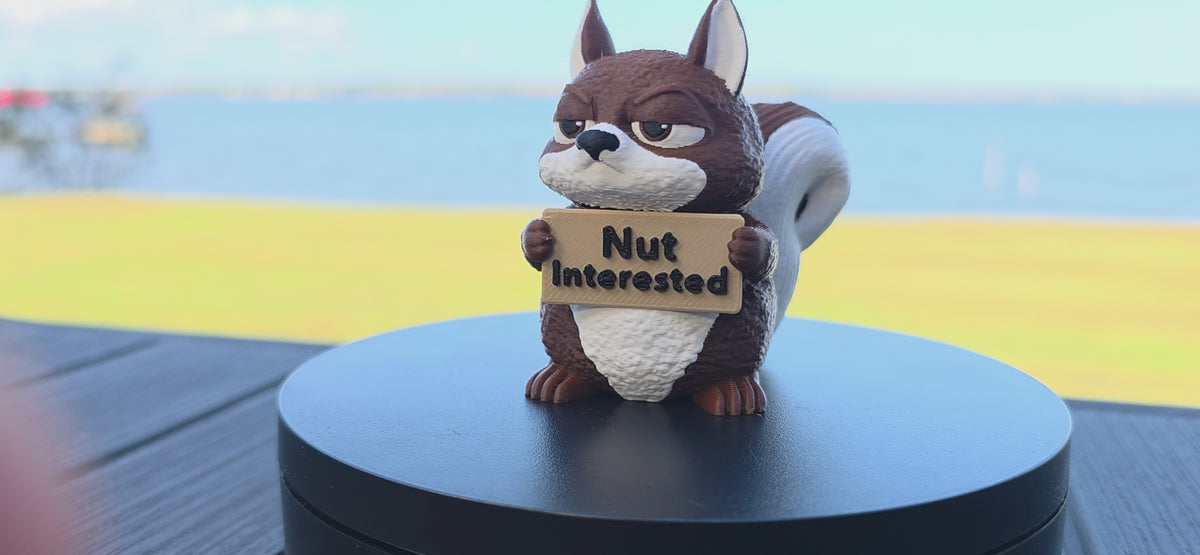 Animals WIth Attitude, Squirrel